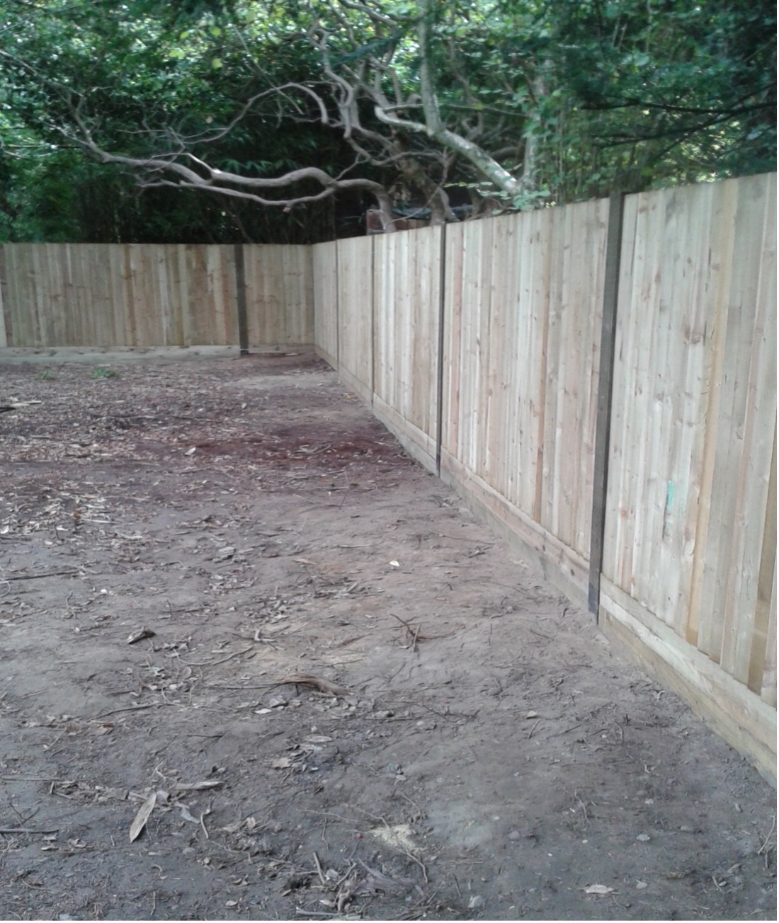 Fence After