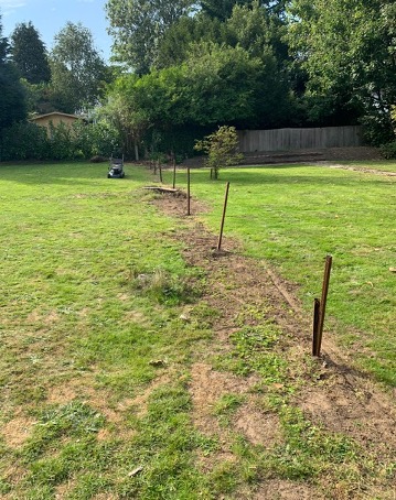 Fence Before